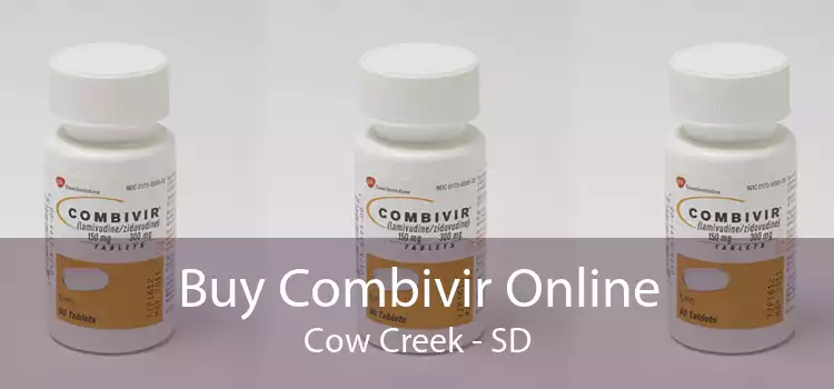 Buy Combivir Online Cow Creek - SD